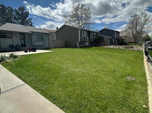 John A.'s lawn maintenance service result