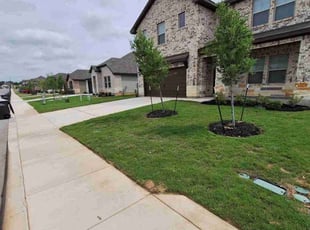 Tyler C.'s lawn care service result
