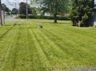 Matt M.'s lawn care services service result