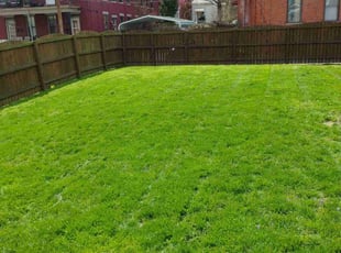 Brenda L.'s gardening service service result