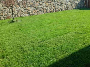 Hollis D.'s lawn care service result