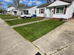 Barbara A.'s lawn service service result