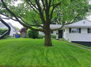 Eric T.'s grass maintenance service result