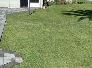 Susan W.'s turf care service result
