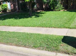 Halona M.'s grass maintenance service result