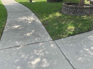 Michele T.'s lawn service service result