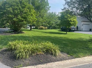 Patricia W.'s grass maintenance service result