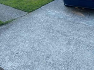 Amber K.'s Long Grass Cleanup service result