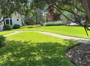 April R.'s landscaping service result