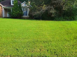 Keke J.'s lawn maintenance service result