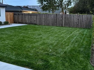 Walter F.'s lawn service service result