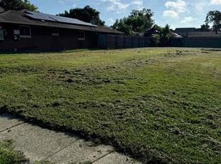 Jenny S.'s turf care service result