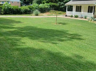 Adam M.'s lawn care services service result