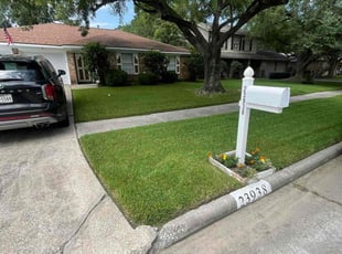 Roman T.'s grass maintenance service result