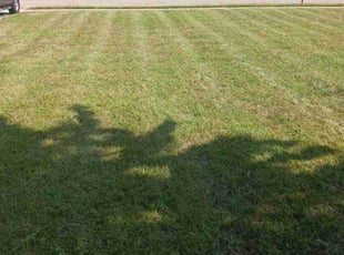 Sade P.'s lawn maintenance service result