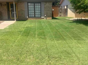 Agnita M.'s lawn care service result