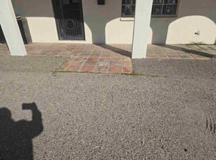 Carla S.'s lawn care service result