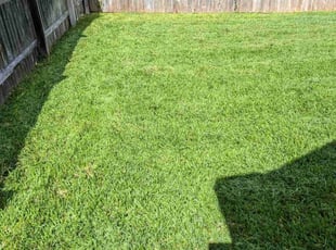 Scott M.'s turf maintenance service result