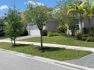 Jenny B.'s lawn service service result