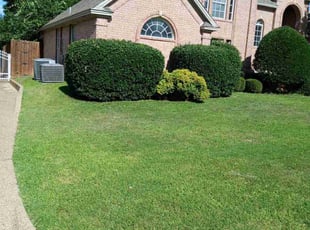 Ryan D.'s Bush Trimming service result