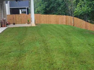 Megan H.'s turf maintenance service result