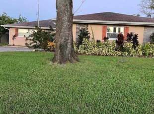 Amethyst T.'s lawn maintenance service result
