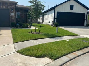 Teresa A.'s lawn care services service result