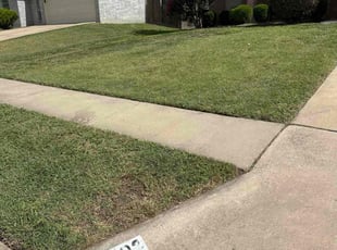 Jimmie S.'s lawn maintenance service result