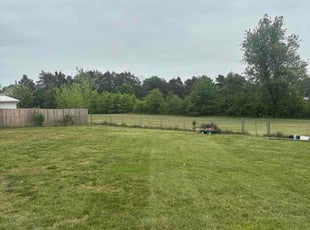 Jared E.'s grass cutting service result