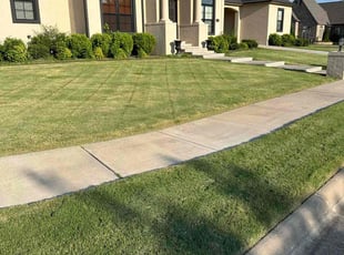 Chris S.'s lawn care services service result