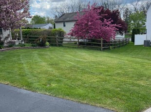 Tom S.'s yard care service result