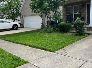 Lucas H.'s lawn care service result