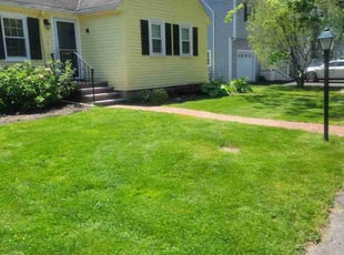 Kyra H.'s lawn care service result