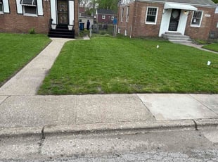 Casie T.'s lawn care service result