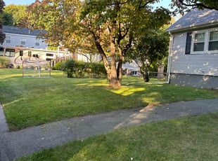 Tepsiri H.'s turf maintenance service result