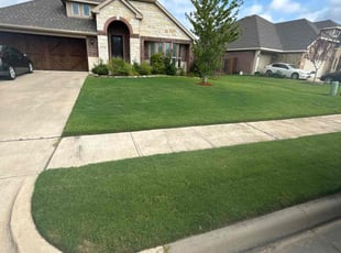 Aulsondro H.'s lawn maintenance service result