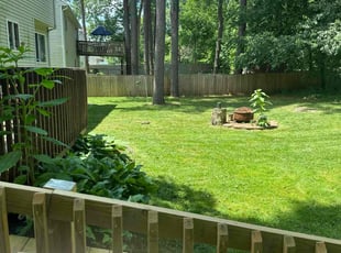 Gm M.'s turf maintenance service result