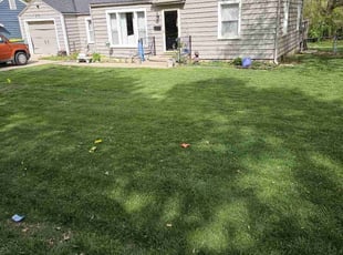 Burton S.'s lawn service service result