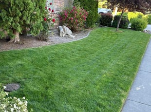 Debbie C.'s lawn care services service result