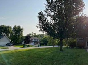 Jen M.'s turf care service result