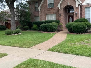 Angela E.'s grass maintenance service result