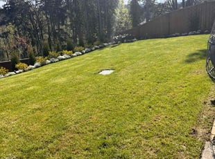 Deborah H.'s grass maintenance service result