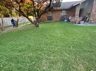 Josette M.'s lawn care service result