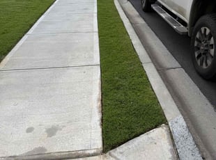 Sarah P.'s turf maintenance service result