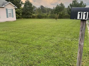 David F.'s turf care service result