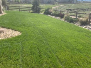 Hayden S.'s grass maintenance service result