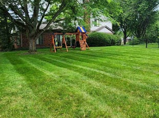 James S.'s lawn service service result