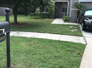 Chad N.'s Bush Trimming service result