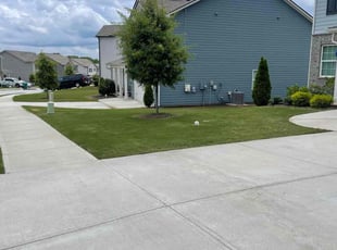 Jose G.'s turf maintenance service result
