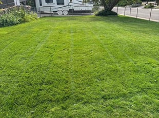 Kristi H.'s lawn care service result